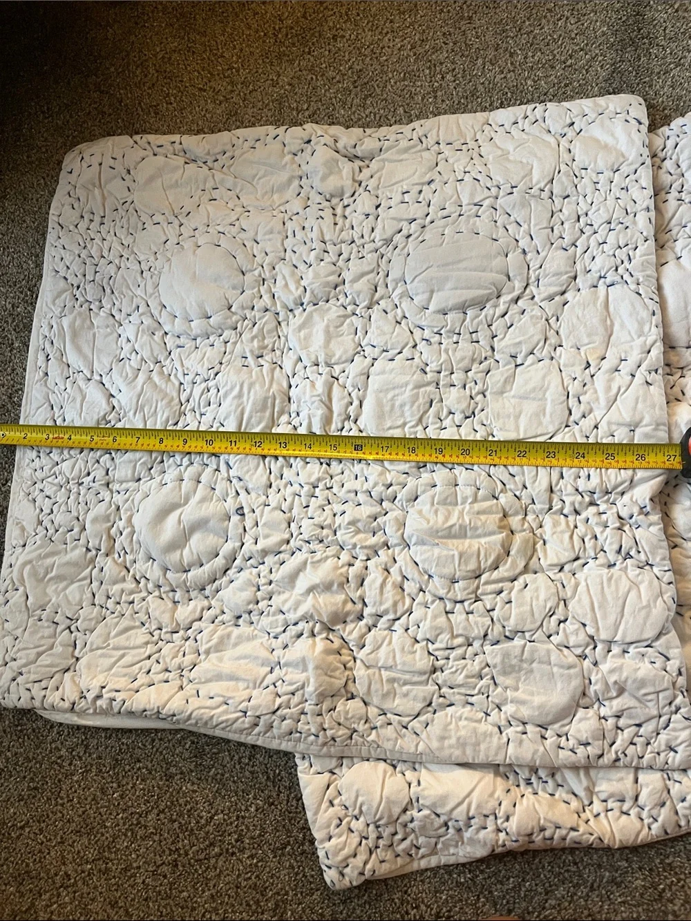 Anthropologie embroidered cotton Euro shams (2)